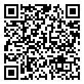 QRCode Edelstein Kette irisierender Labradorit