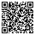 QRCode Armband Schungit Bergkristall 10-11mm