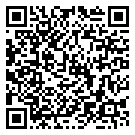 QRCode Kette Beryll Aquamarin Rosenquarz Kyanit Edelsteine