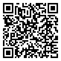 QRCode Armband Aventurin Bergkristall 10-11mm